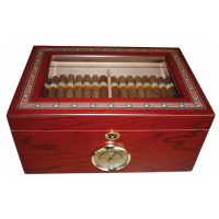 Premium Humidor Executive AR5504